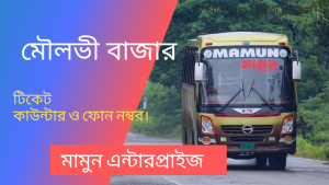Mamun Transportation Bus Service