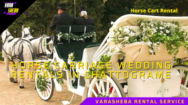 Horse Carriage Wedding Rentals In Chattograme