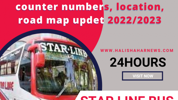 Star Line Bus updet 2022