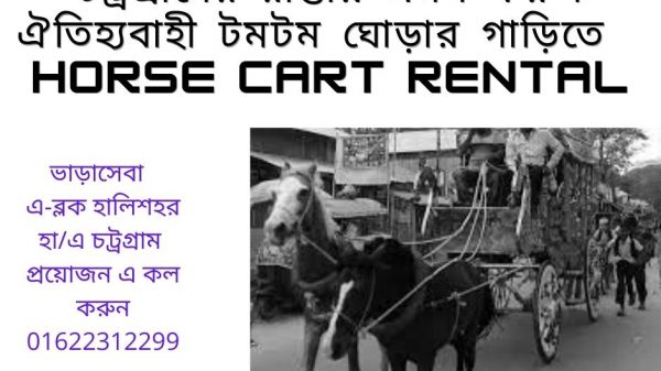 চট্রগ্রামের রাস্তায় ভ্রমণ করুন ঐতিহ্যবাহী টমটম ঘোড়ার গাড়িতে | Horse Cart Rental